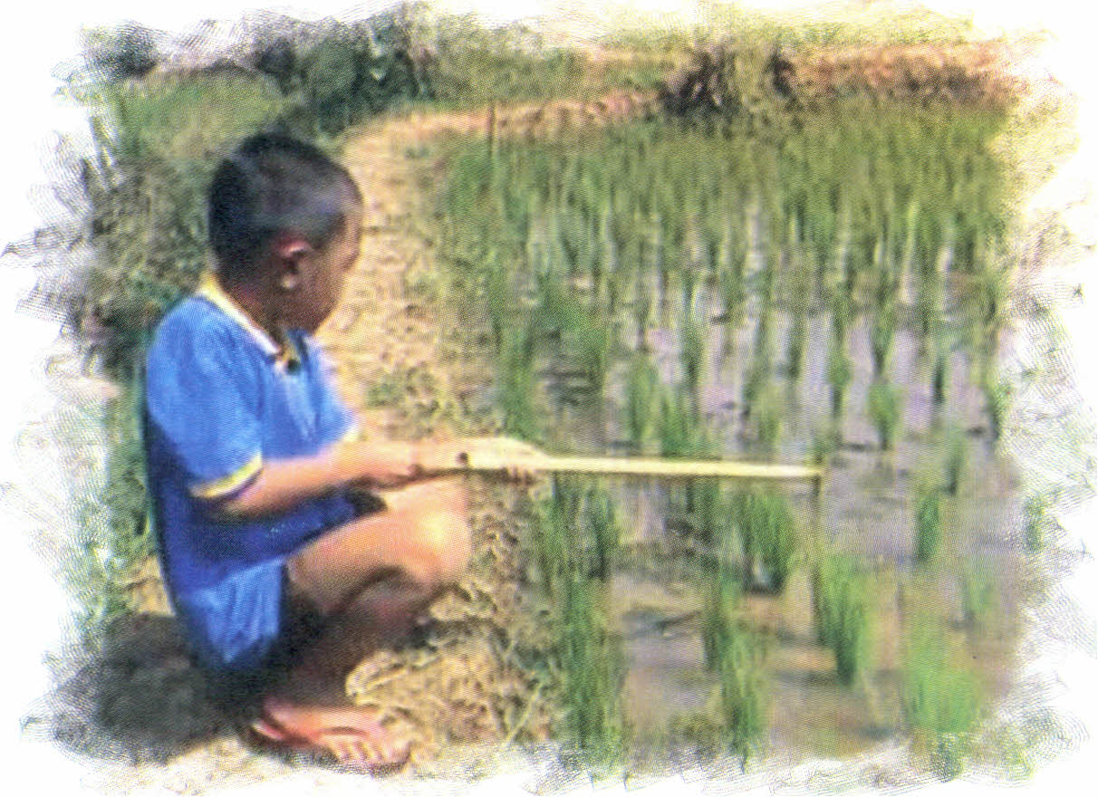 Gambar Entri