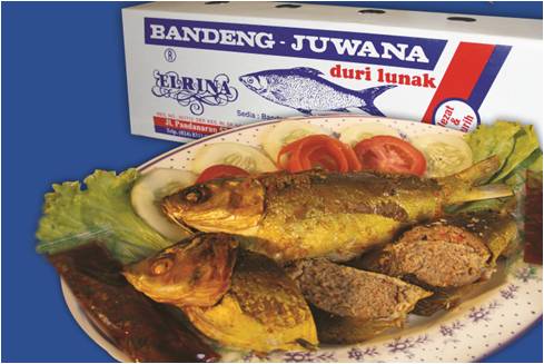 Gambar Entri