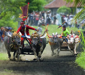 Gambar Entri