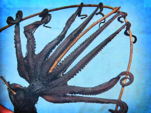 Gambar Entri