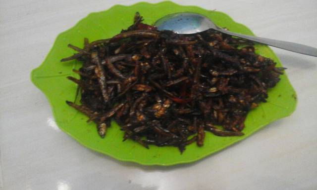 Gambar Entri