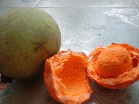 Gambar Entri