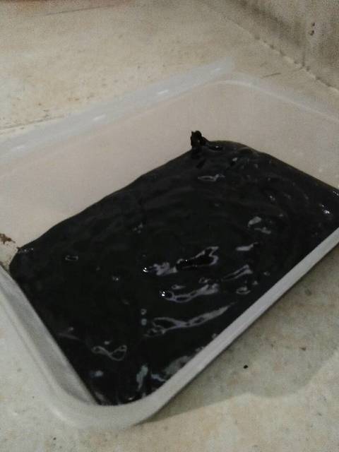 Gambar Entri
