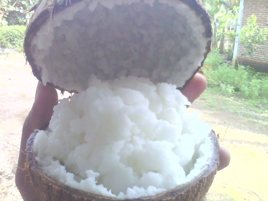 Gambar Entri