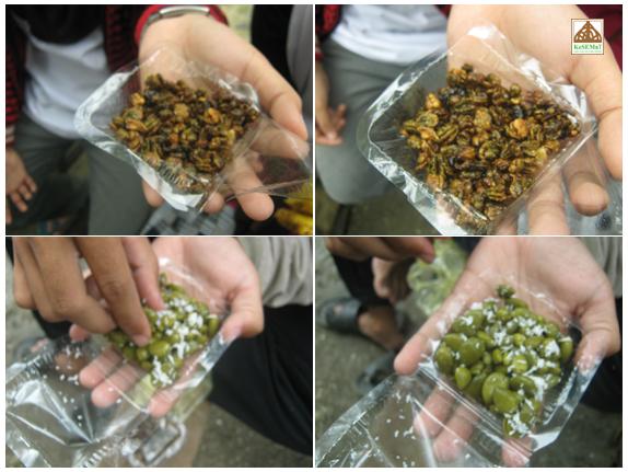 Gambar Entri