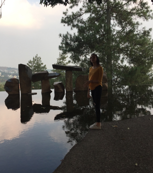danyazahra_ScreenShot2018-08-08at11.54.05PM.png