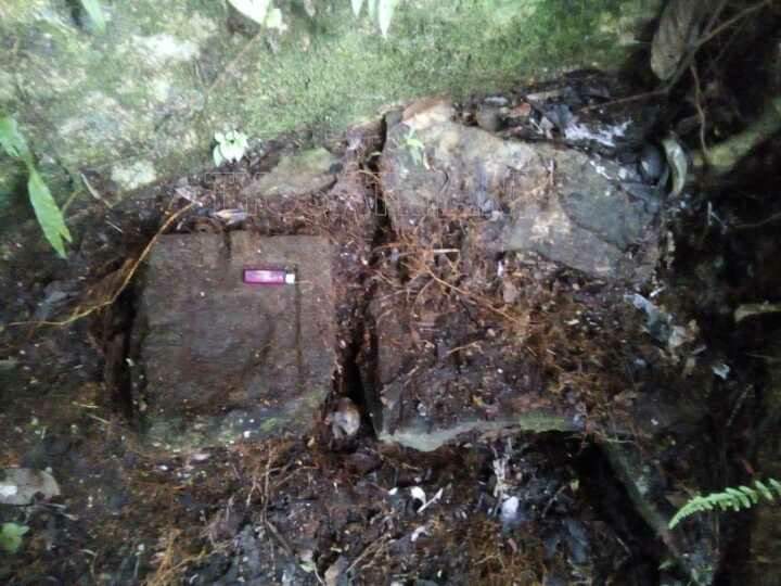 Gambar Entri
