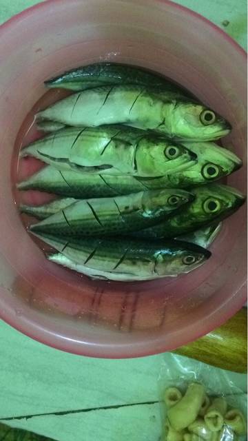 Gambar Entri