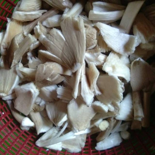 Gambar Entri
