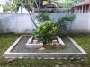 Gambar Entri