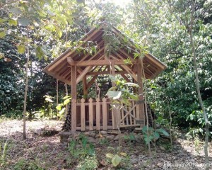 Gambar Entri