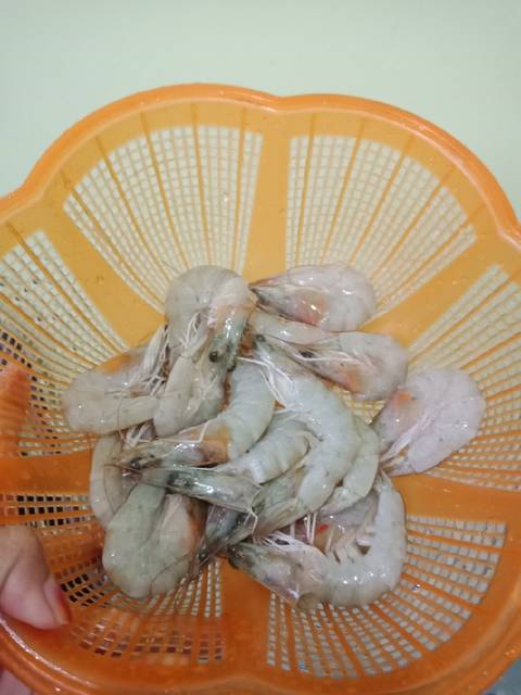niasanny_BaladoUudangTempe-3.jpg