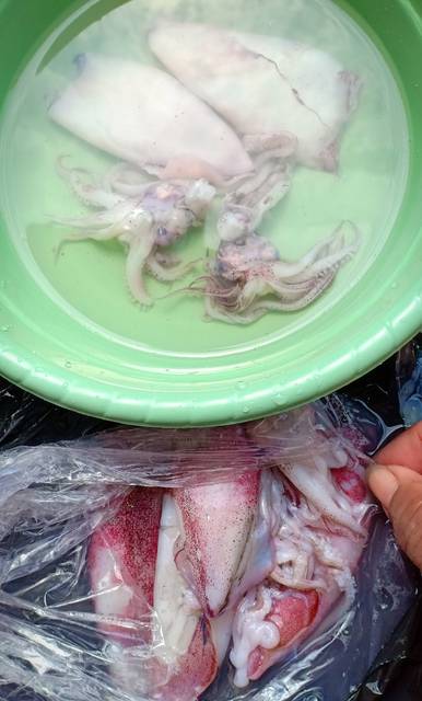 niasanny_OsengKacangPanjangCumiUdang-4.jpg