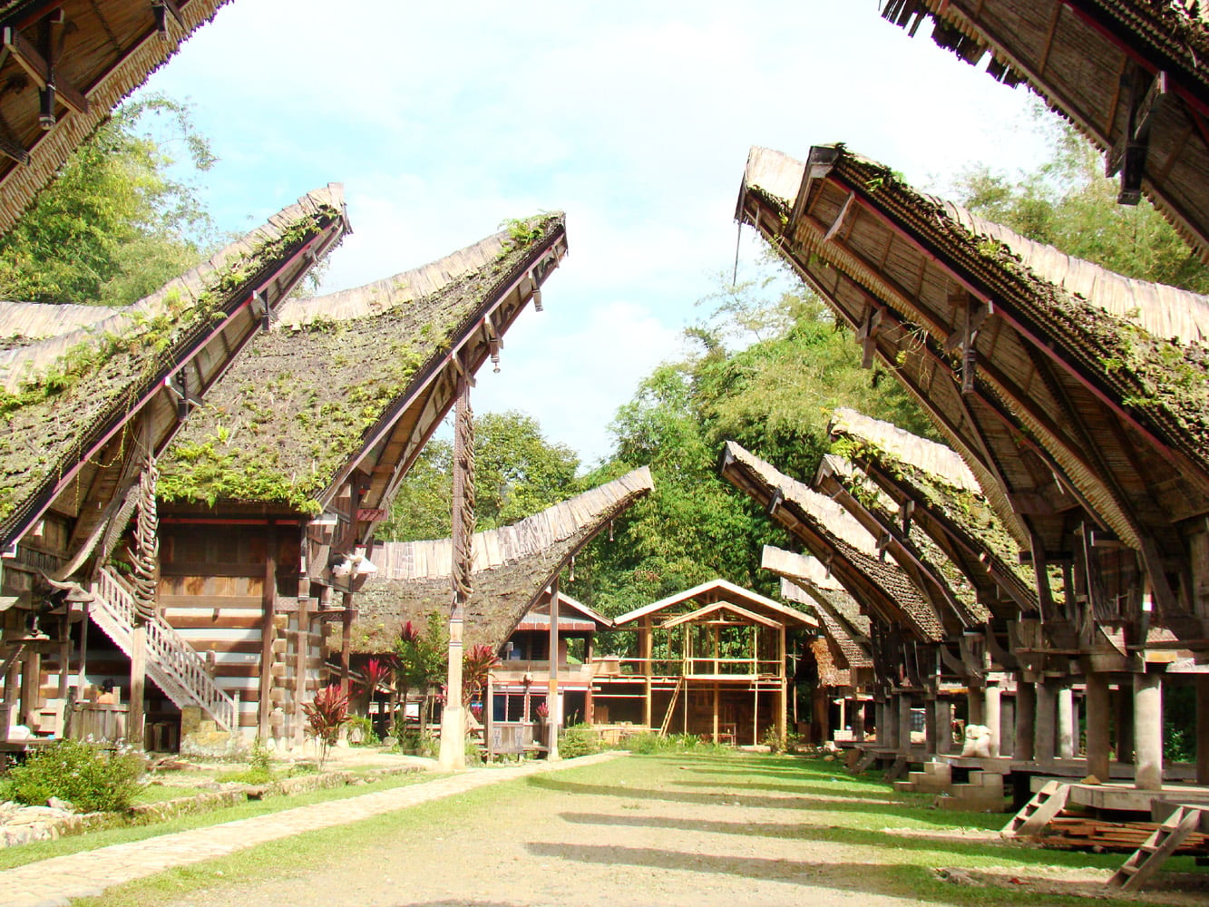 kianasarayu_Rumah-Adat-Tongkonan_1779195334.jpg